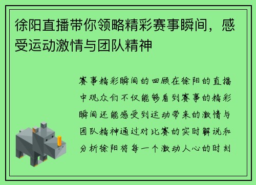 徐阳直播带你领略精彩赛事瞬间，感受运动激情与团队精神