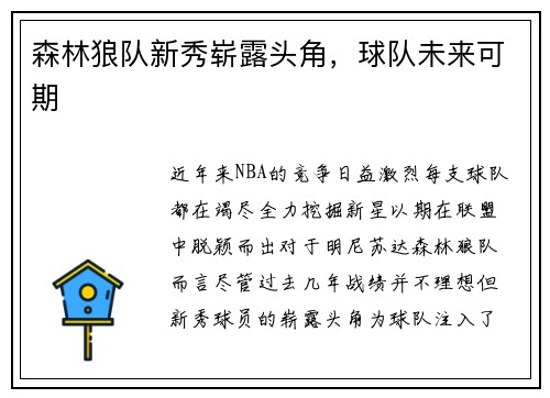 森林狼队新秀崭露头角，球队未来可期
